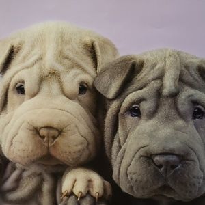 Meet your Posher, Beata